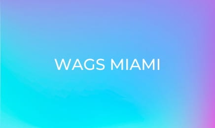 WAGS Miami S1E9 - Reunion Special