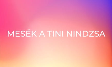 Mesék a tini nindzsa teknőcökről S1E8 - Mikey kezébe veszi az irányítást Mesék a tini nindzsa teknőcökről S1E8 - Mikey kezébe veszi az irányítást