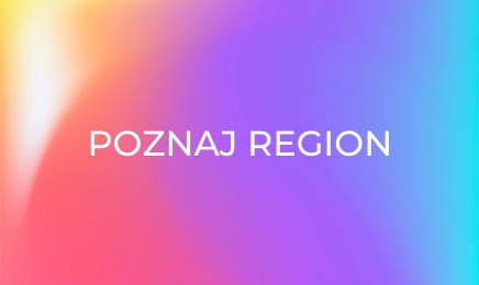 Poznaj region E61 - Manufaktura Ceramiki w Bolesławcu Poznaj region E61 - Manufaktura Ceramiki w Bolesławcu