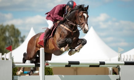 Jezdectví: Longines Global Champions Tour - Rijád Jezdectví: Longines Global Champions Tour - Rijád