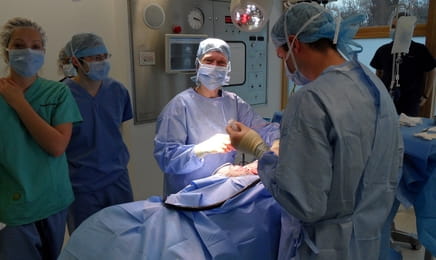 Zvířecí pohotovost S1E10