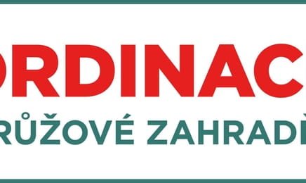 Ordinace v růžové zahradě 2 S2E521 - Lekce číslo jedna