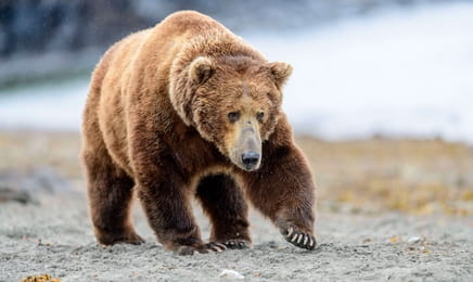 Королевы S1E4