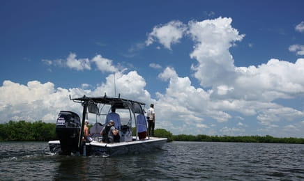 Vymřeli či žijí S1E1 - Tchajwanský levhart obláčkový