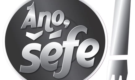 Ano, šéfe! - Motorest Galerie – Karlov