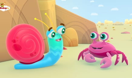 Snail Trail - Roosters Snail Trail - Roosters