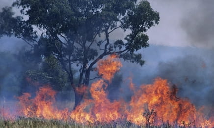 Eko na serio E7 - Jak gleba i natura wpływają na smak i jakość produktów? Eko na serio E7 - Jak gleba i natura wpływają na smak i jakość produktów?