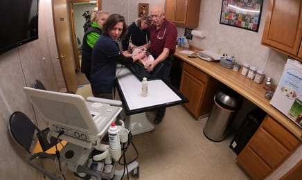 Невероятный доктор Пол S24E6