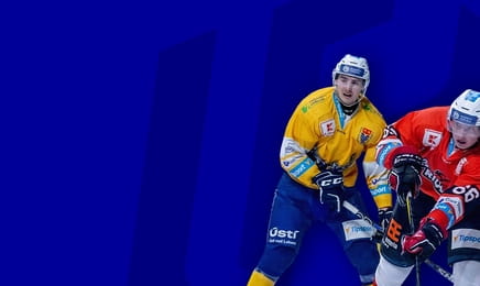 Univerzitní hokejová liga