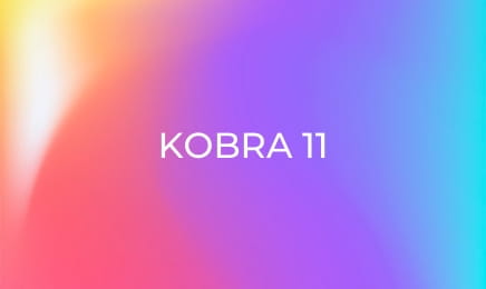 Kobra 11 S10E6