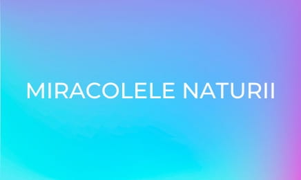 Miracolele naturii