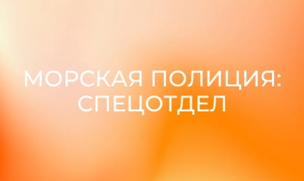 Т/с "NCIS: Полювання на вбивцю", 1 сезон, 20 с.