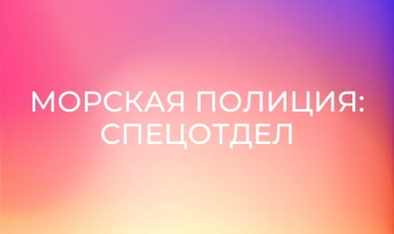 Т/с "NCIS: Полювання на вбивцю", 18 сезон, 13 і 14 с.