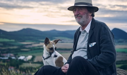 Gump - pes, ktorý naučil ľudí žiť