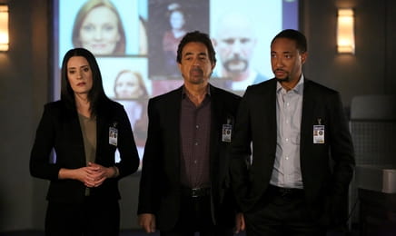 Мыслить как преступник S13E9 - Поддельный флаг