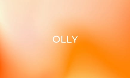 Olly - Olly the Police Officer Olly - Olly the Police Officer