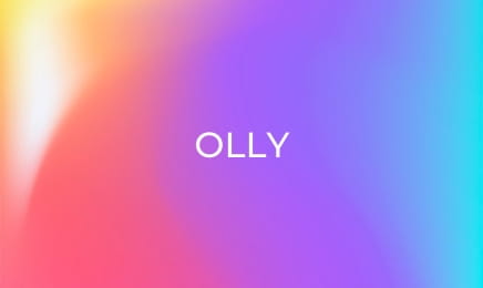 Olly - Olly the Police Officer