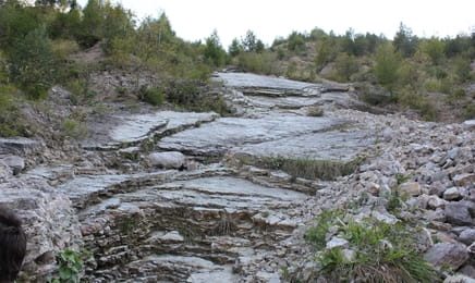 Tuż przed tragedią S5E4 - Fukushima