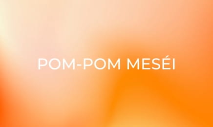 Pom-Pom meséi - A bátor tintanyúl Pom-Pom meséi - A bátor tintanyúl