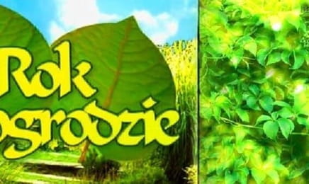 Rok w ogrodzie E1136