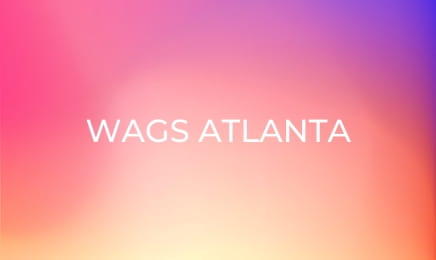 WAGS Atlanta S1E4 - The Ultimate Ultimatum