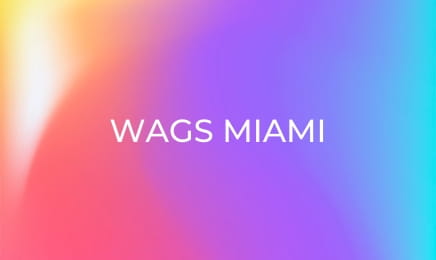WAGS Miami S2E3 - Dueling Matchmakers