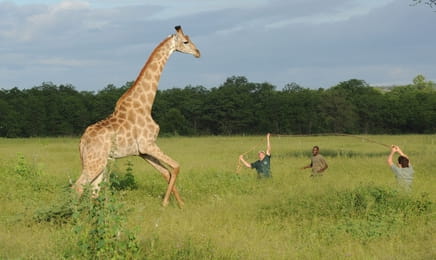 Szkoła łapania dzikich zwierząt S1E3