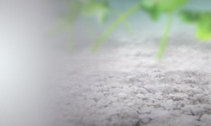 Nedej se - Občanské noviny – Biouhlobaronem snadno a rychle