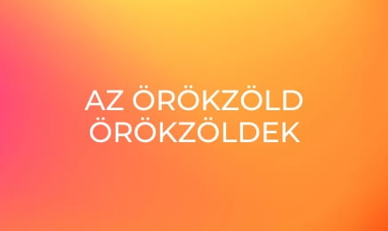 Az örökzöld örökzöldek - Zerkovitz Béla szerzeményeiből – Hulló falevél