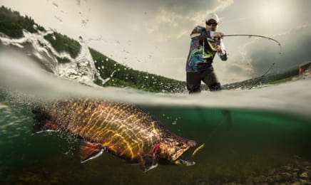 Căutătorul de monştri Căutătorul de monştri