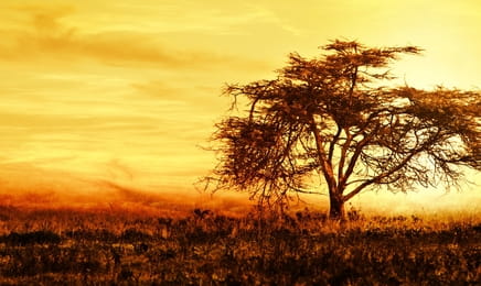 Wyprawa do Afryki S1E3 Wyprawa do Afryki S1E3