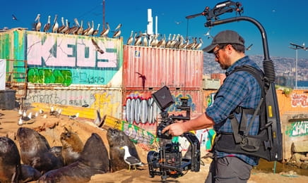 Savci E5 - Horko Savci E5 - Horko