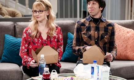 Teória veľkého tresku S12E15 - Revokácia darovania