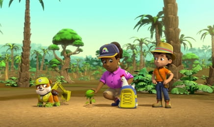 A mancs őrjárat S3E3 - A focimeccs megmentése