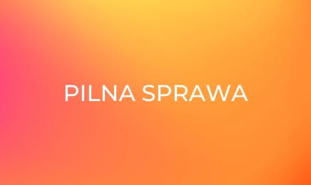 Pilna sprawa E411