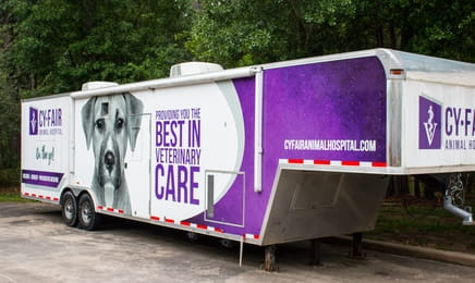 Будни ветеринара S2E16 - Спецвыпуск об урагане Харви