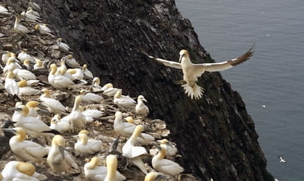 Malé ostrovy Velké Británie E4