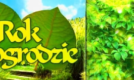 Rok w ogrodzie E980 Rok w ogrodzie E980