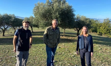 Polacy pod Monte Cassino