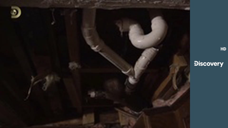 Ремонт на ферме S2E8