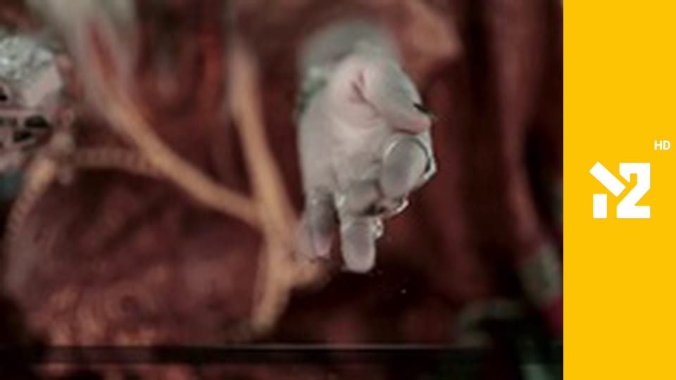 Хіти Non-Stop M2