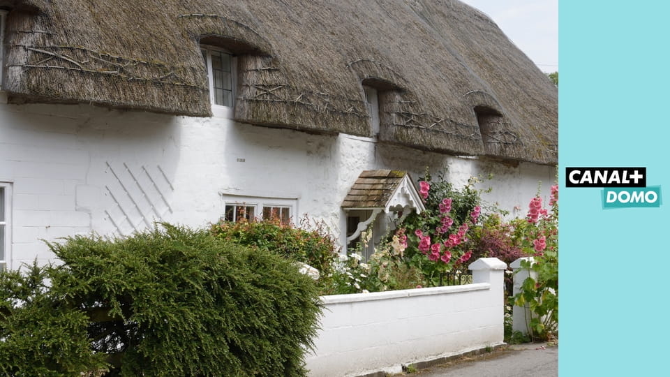 Ucieczka na wieś S22E4