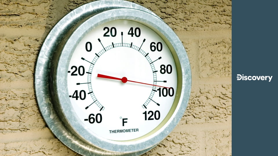 Как это устроено? S13E12 - Оливковое масло/Погрузчики/Лыжные ботинки