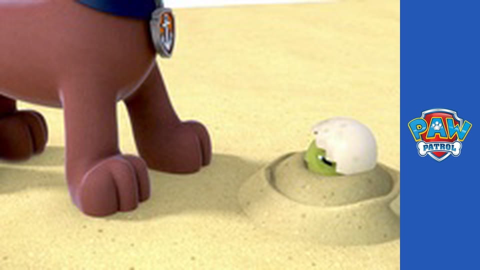 Psi Patrol Sezon 1 Odcinek 2