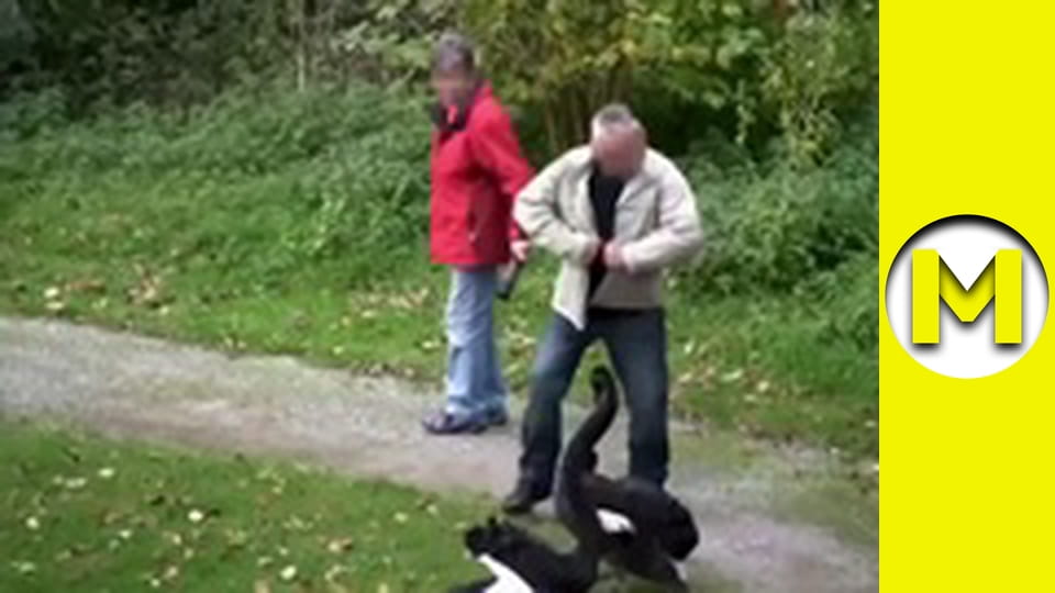 Max TV - season 1 - episode 105