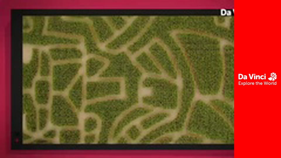 Știi oare? - Telecabina și Turnul de observare