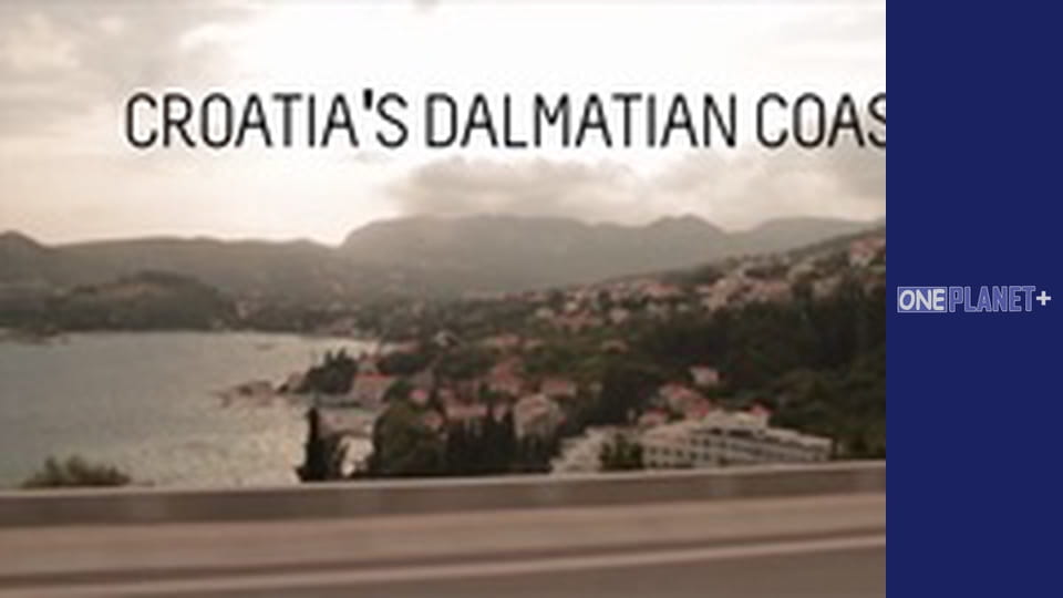 In the rhythm of the dance around the world. Season 1 - Episode 4