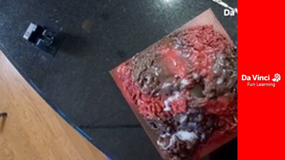 DIY SCI - Science Fair