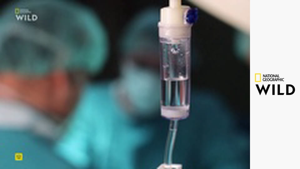 Кто-то меня укусил S1E7