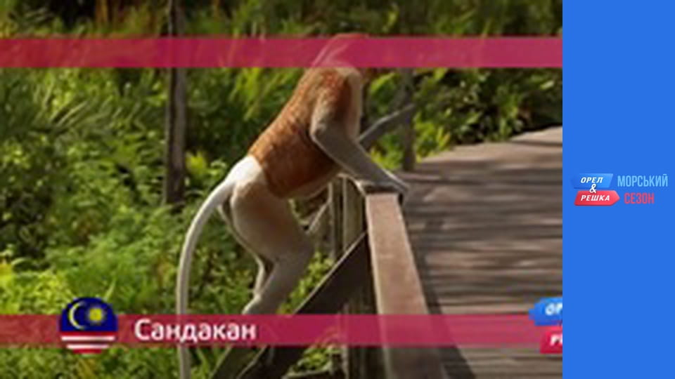 Морський сезон 2 - Випуск 6 - Сандакан